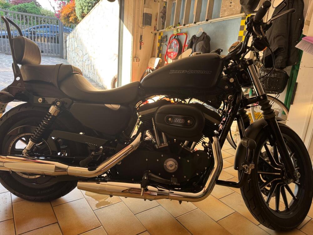 Harley-Davidson 883 Iron (2009 - 11) - XL 883N (2)