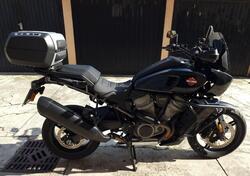 Harley-Davidson Pan America 1250 (2020 - 25) usata