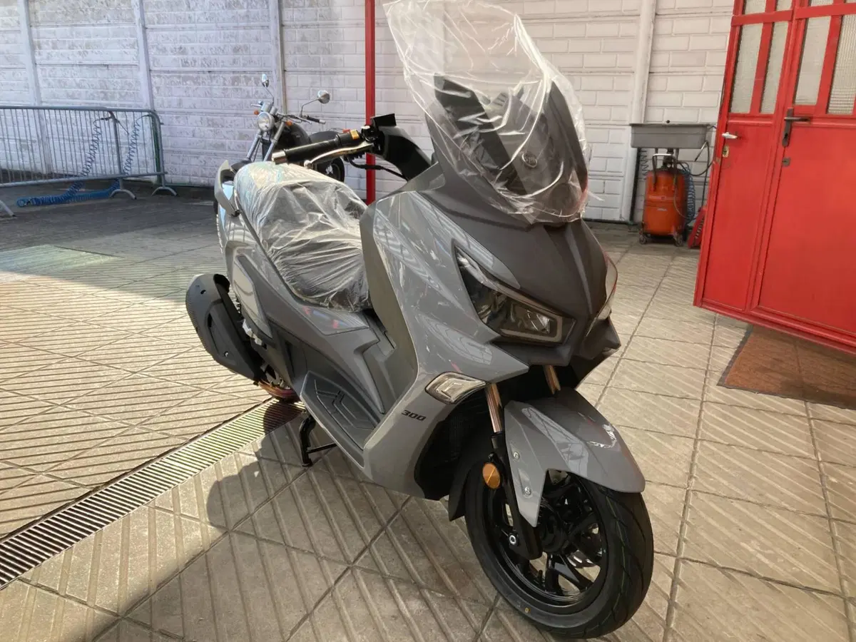 Sym Joymax 300 Z (2025 - 26) (3)