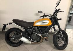Ducati Scrambler 800 Classic (2015 - 16) usata