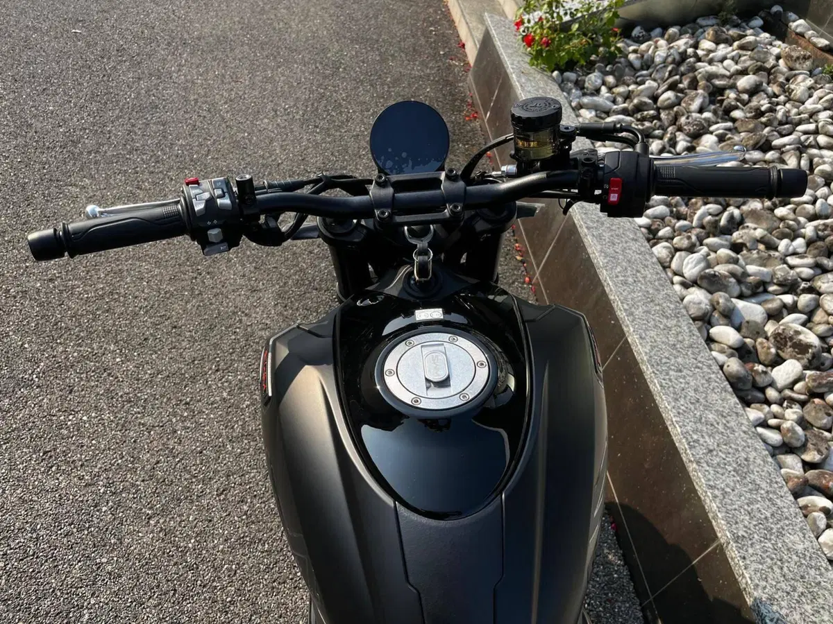 Swm Gran Milano 500 (2023 - 25) (4)