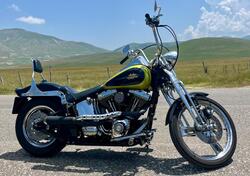 Harley-Davidson 1450 Springer (2001 - 03) - FXSTS usata