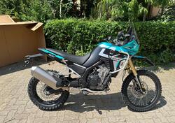 Kove 800 Rally (2025) nuova