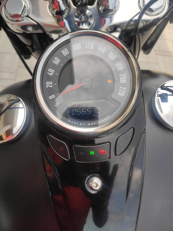 Harley-Davidson 107 Slim (2018 - 20) - FLSL (2)