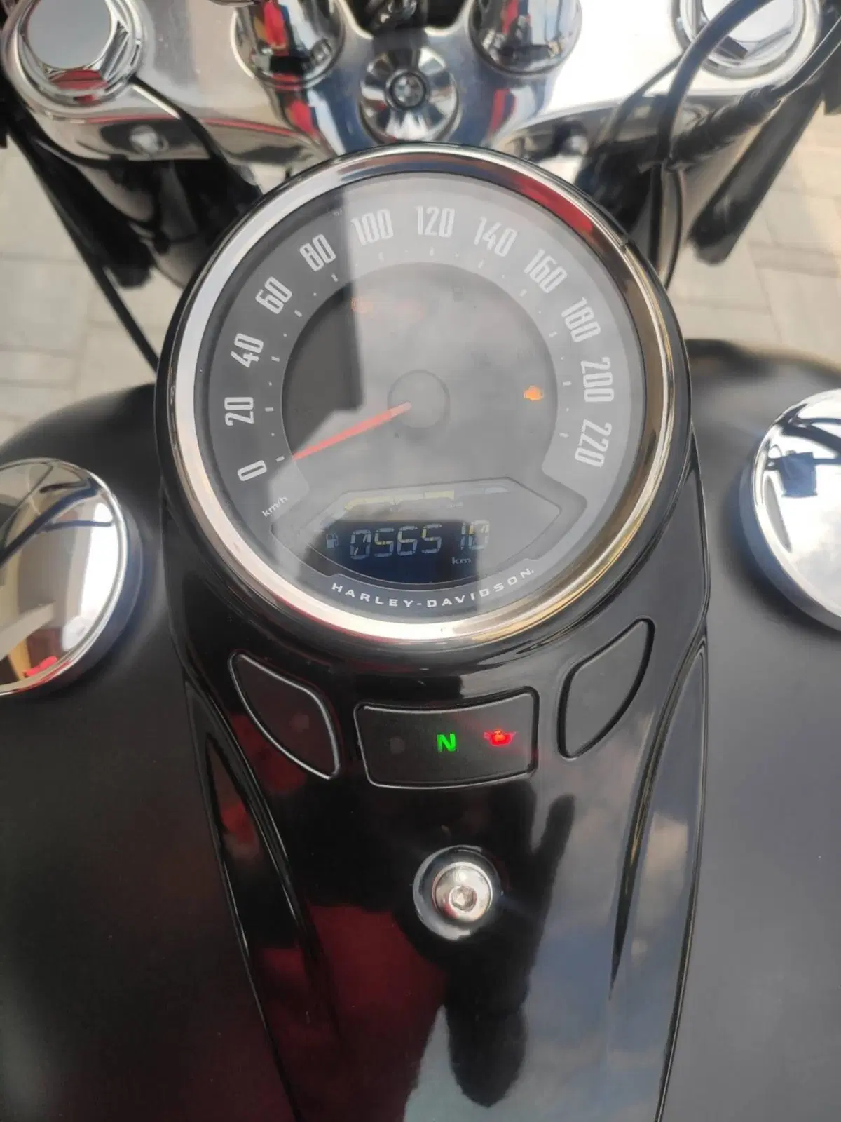 Harley-Davidson 107 Slim (2018 - 20) - FLSL (2)