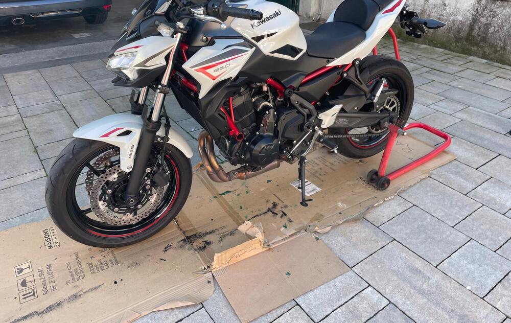 Kawasaki Z 650 (2021 - 24)