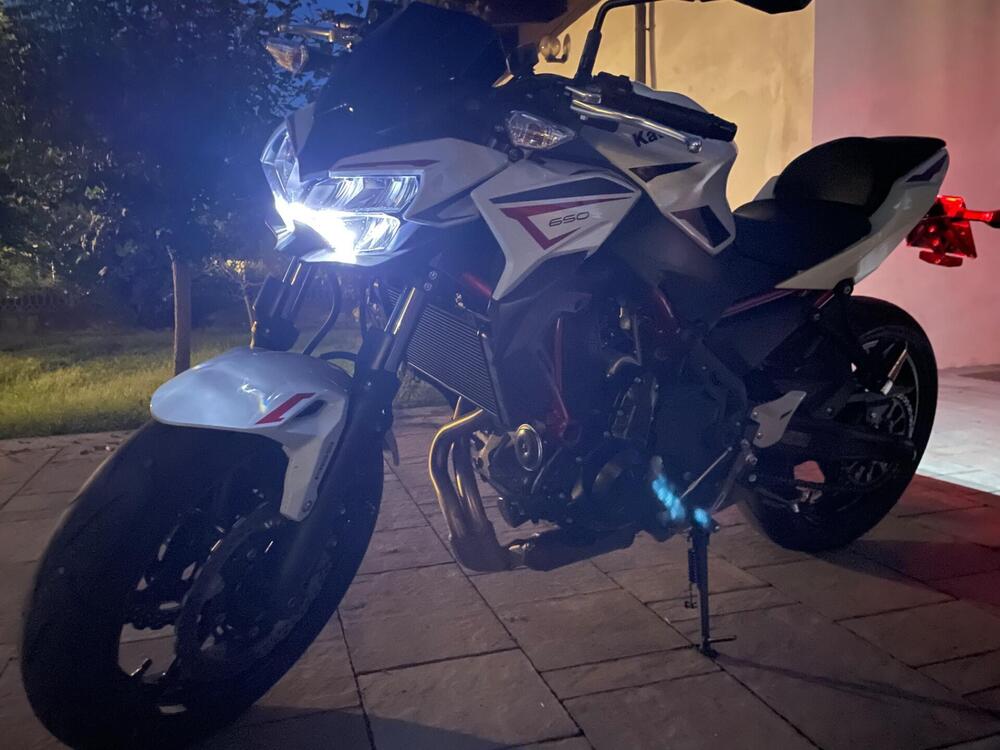 Kawasaki Z 650 (2021 - 24) (2)