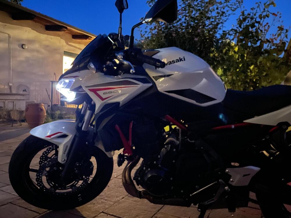 Kawasaki Z 650 (2021 - 24) (3)