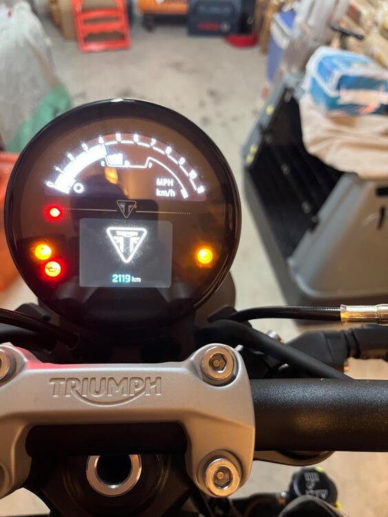 Triumph Trident 660 (2021 - 24) (4)