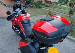 Ducati Multistrada 950 (2018) usata