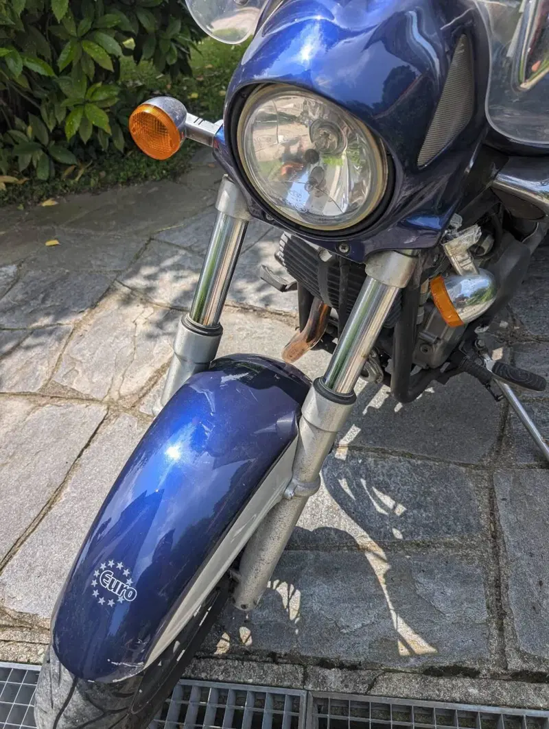Betamotor Euro 350 Classic (2001 - 05) (15)
