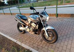Honda Hornet 900 usata