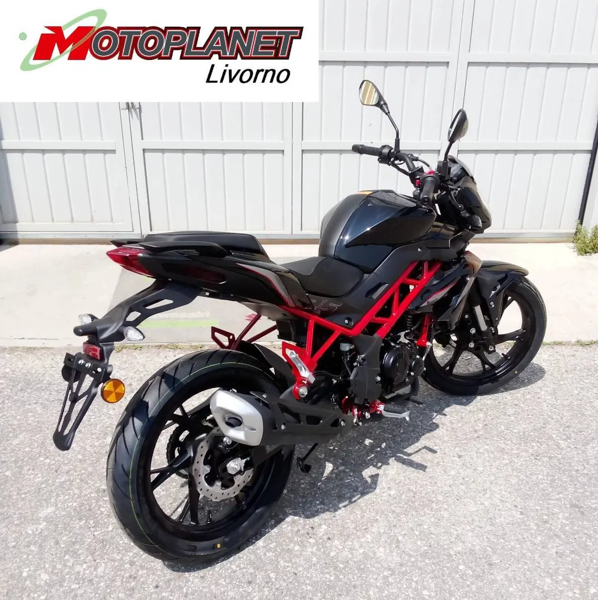 Benelli BN 125 (2021 - 25) (7)