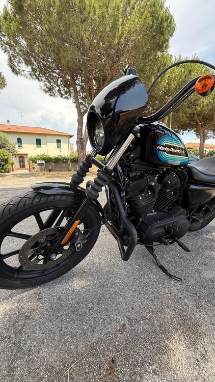 Harley-Davidson 1200 Iron (2018 - 20) - XL1200N (4)