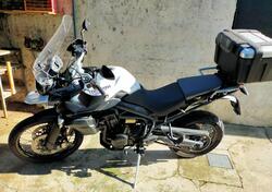 Triumph Tiger 800 (2010 - 14) usata