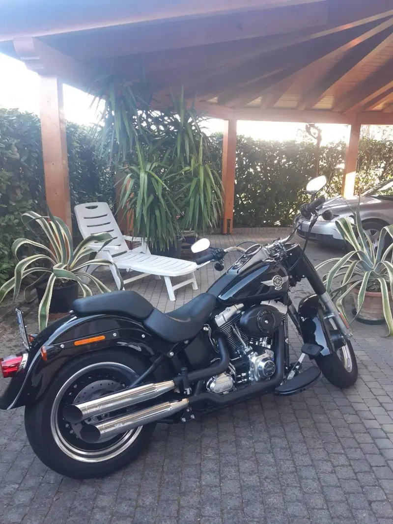 Harley-Davidson 1690 Fat Boy Special (2010 - 17) - FLSTF (3)