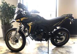 Voge Valico 300 Rally (2022 - 25) nuova