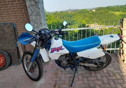 Suzuki DR 350 S (1990 -93) usata