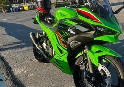 Kawasaki Ninja 500 SE (2024 - 25) usata