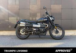 Triumph Scrambler 900 (2023 - 25) usata