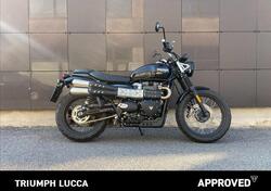 Triumph Scrambler 900 (2023 - 25) usata