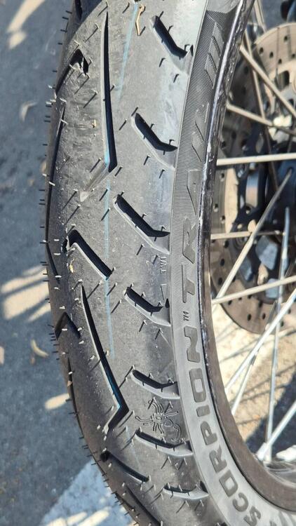 Bmw F 800 GS (2008 - 15) (2)