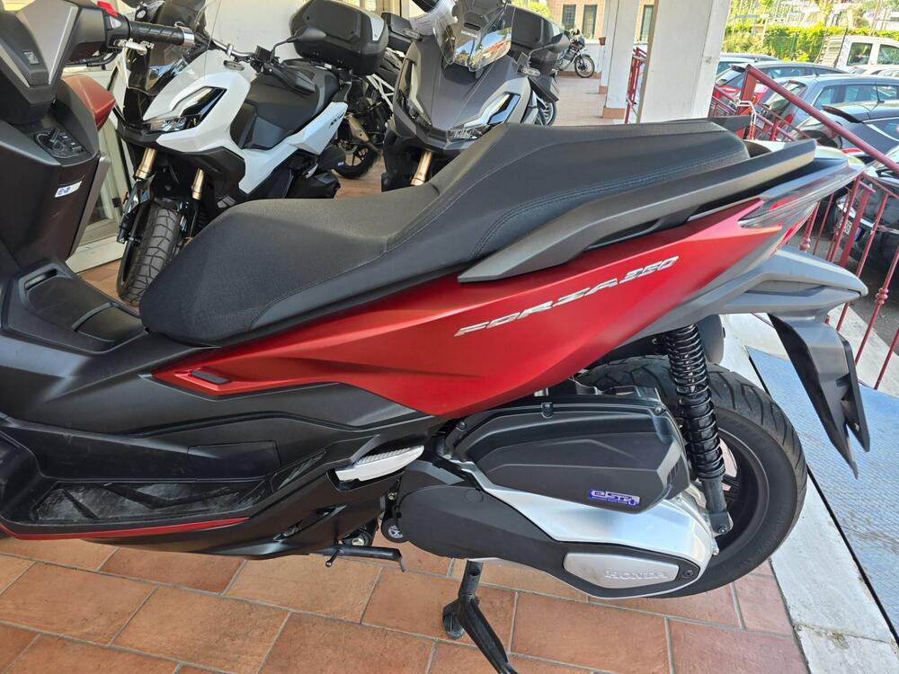 Honda Forza 350 (2022 - 24) (4)