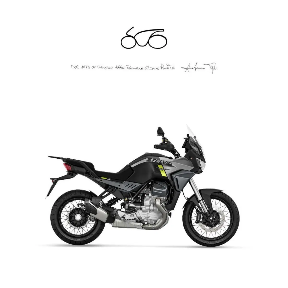 Moto Guzzi Stelvio (2024 - 26)