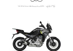 Moto Guzzi Stelvio (2024 - 25) usata