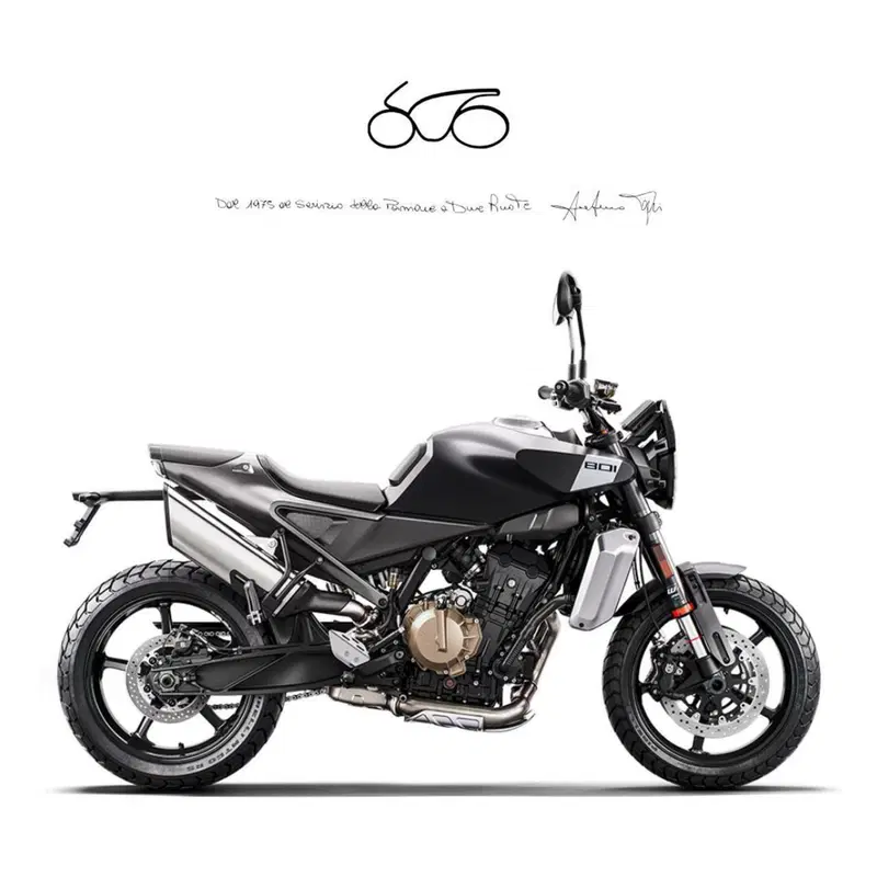 Husqvarna Svartpilen 801 (2024 - 26)