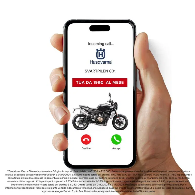 Husqvarna Svartpilen 801 (2024 - 26) (3)