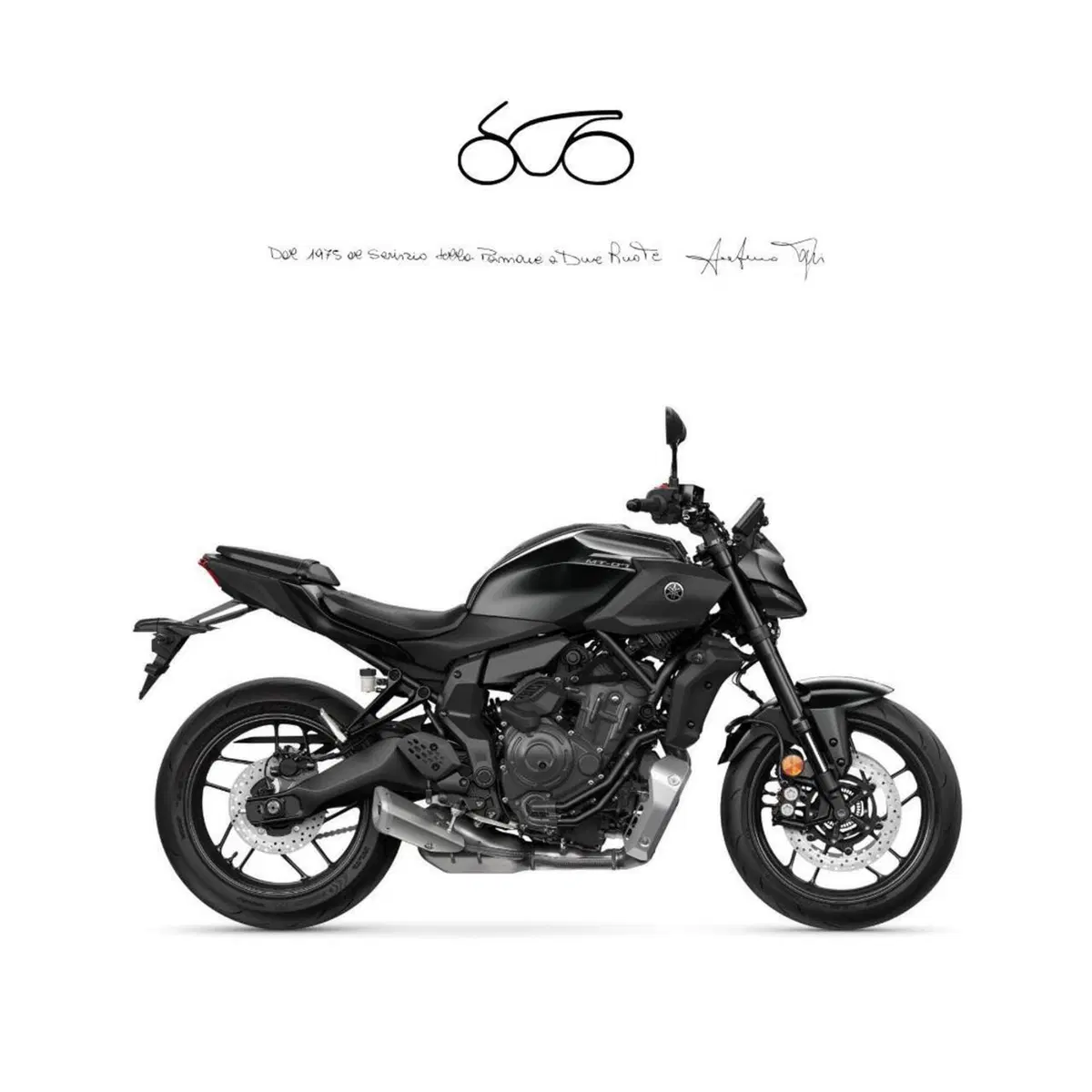 Yamaha MT-07 (2025 - 26)