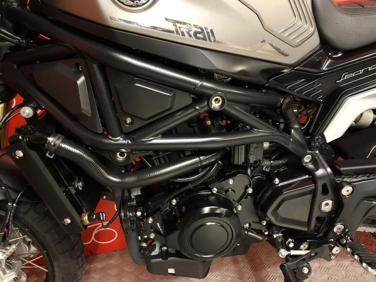 Benelli Leoncino 800 (2022 - 26) (7)