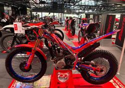 Betamotor Evo 300 2T Factory (2024) nuova