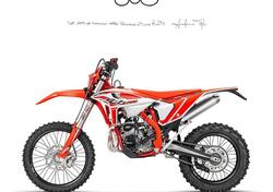 Betamotor RR 250 2T Enduro (2024) nuova