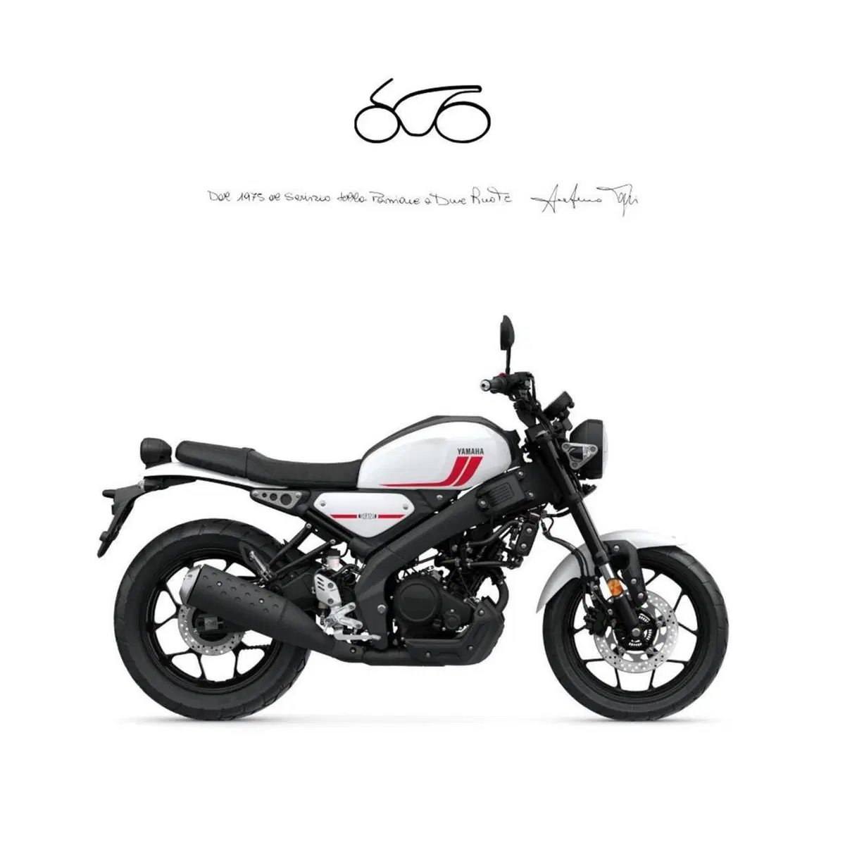 Yamaha XSR 125 (2021 - 24)