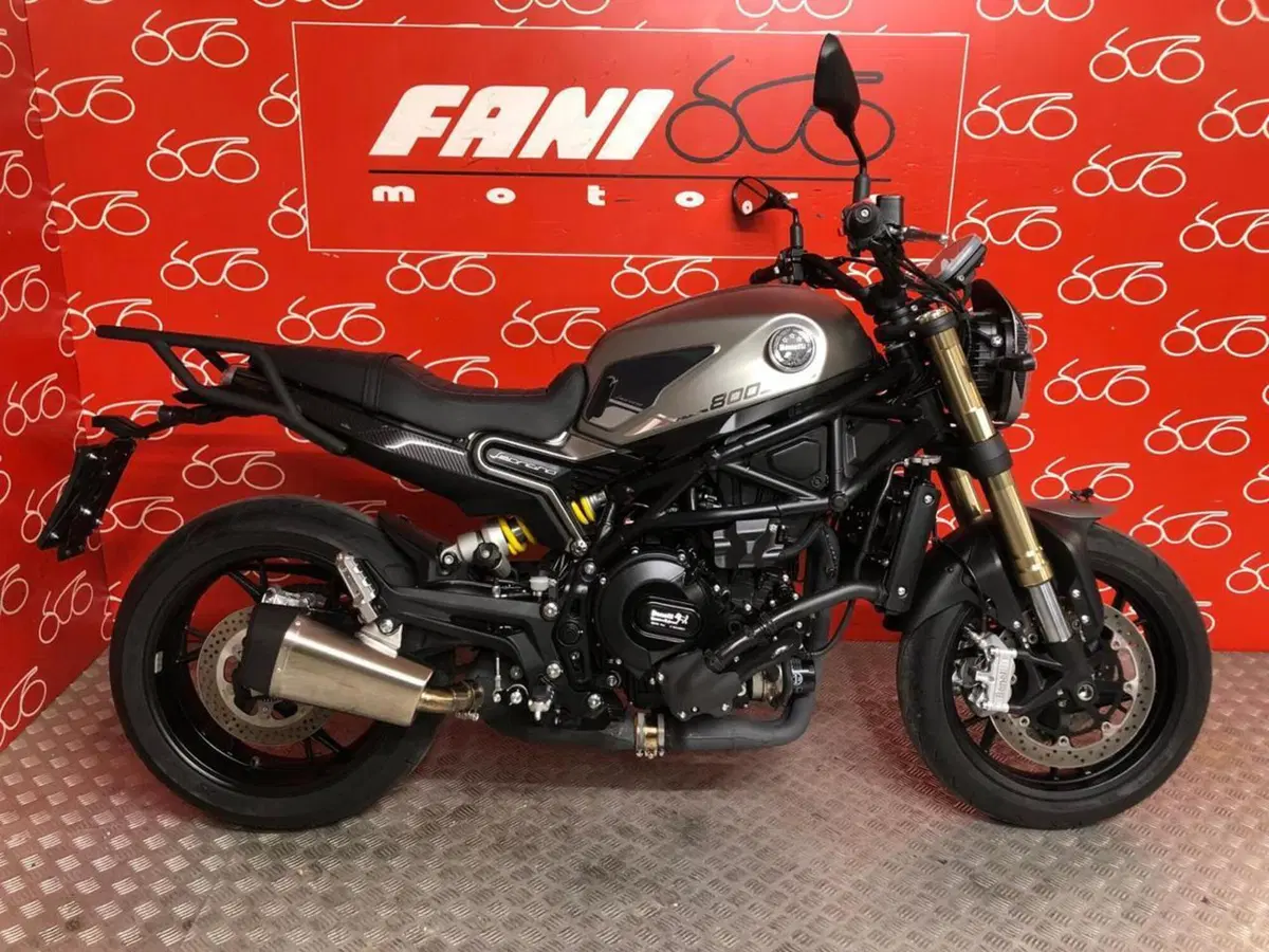 Benelli Leoncino 800 (2022 - 26)