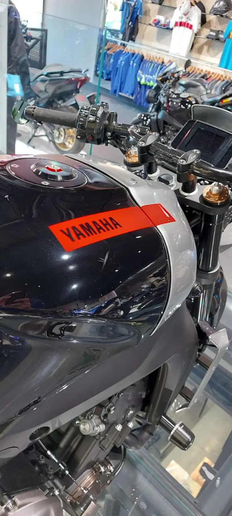 Yamaha XSR 900 (2022 - 24) (15)