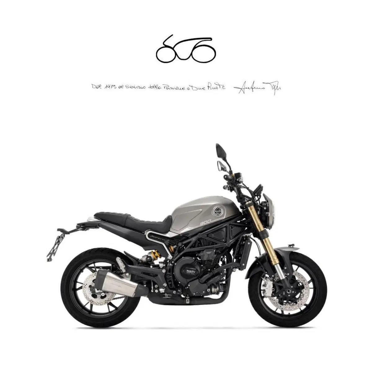 Benelli Leoncino 800 (2022 - 26)