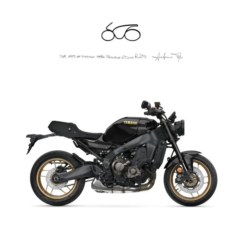 Yamaha XSR 900 (2022 - 24)