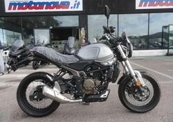 Voge Trofeo 300ACX Scrambler (2021 - 25) nuova