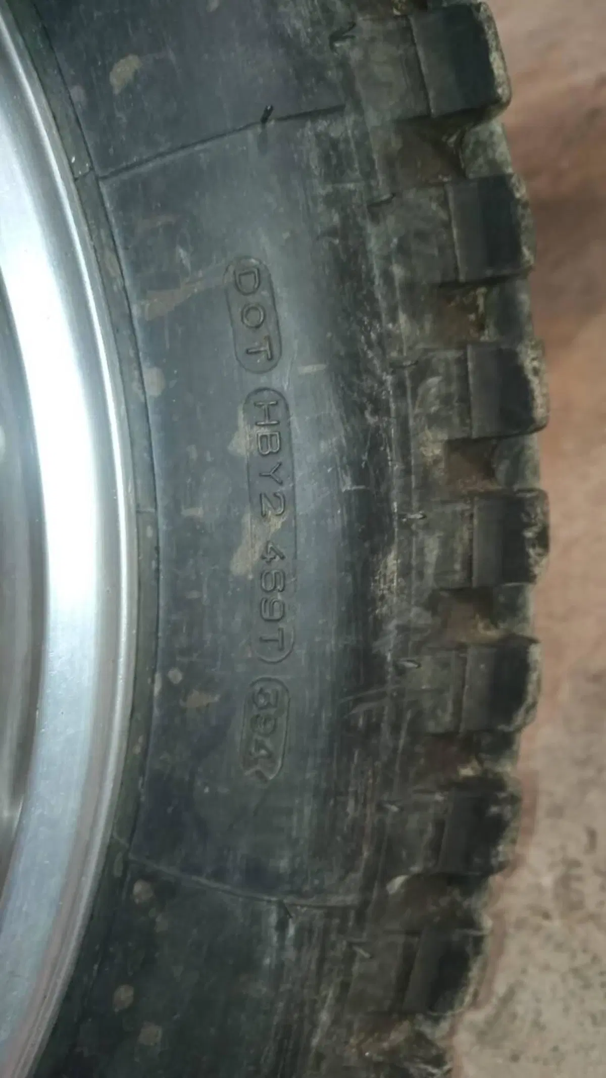 Betamotor Alp 250 (1996) (11)