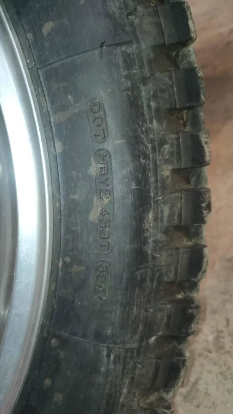 Betamotor Alp 250 (1996) (11)