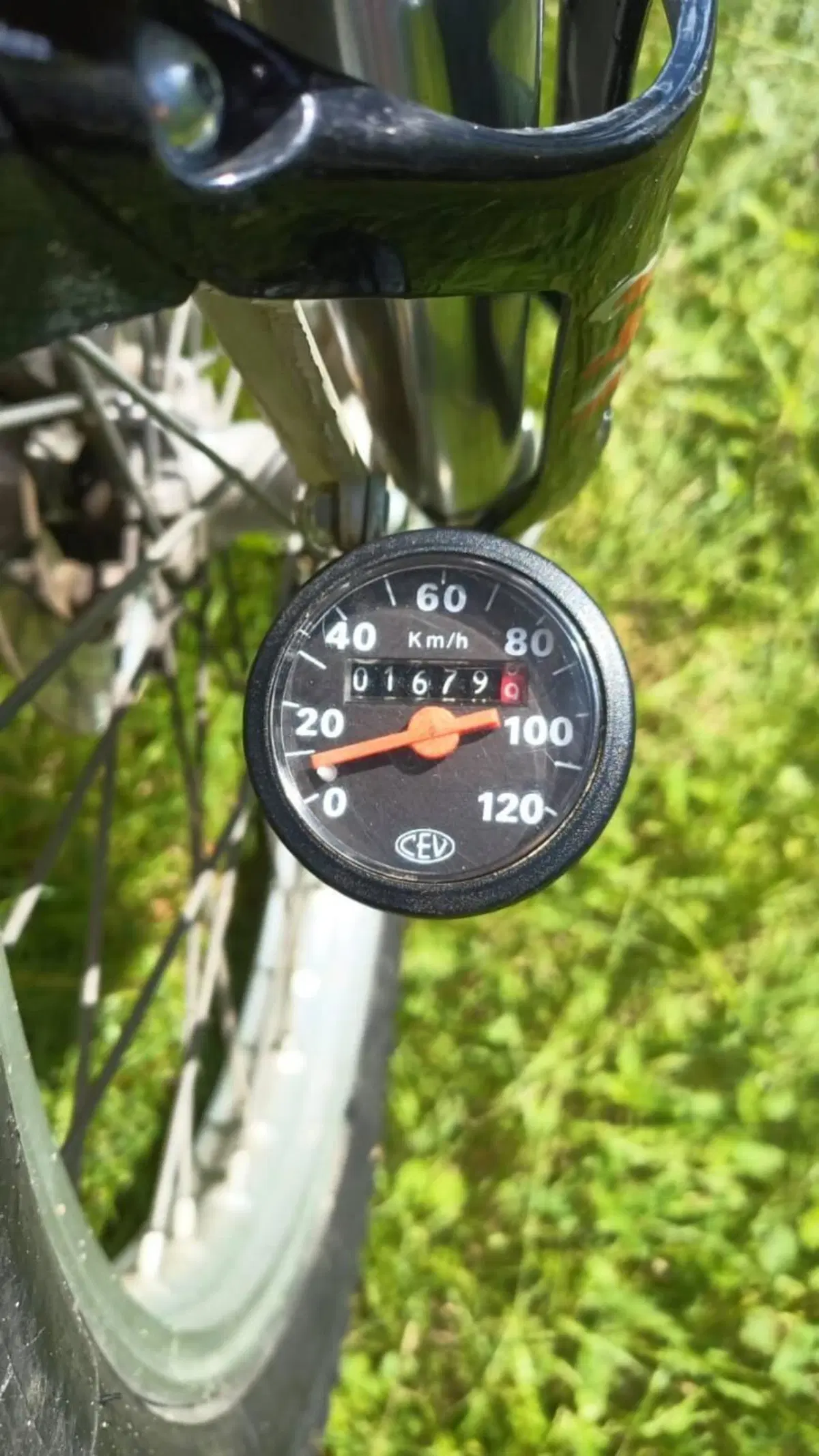 Betamotor Alp 250 (1996) (10)