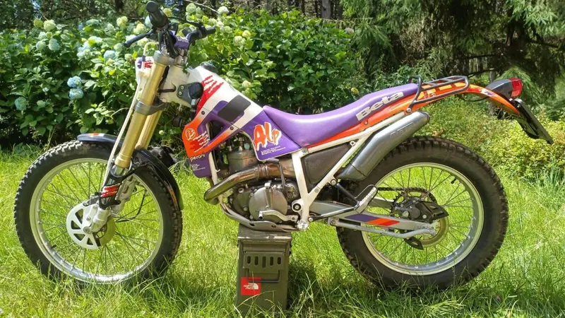 Betamotor Alp 250 (1996)