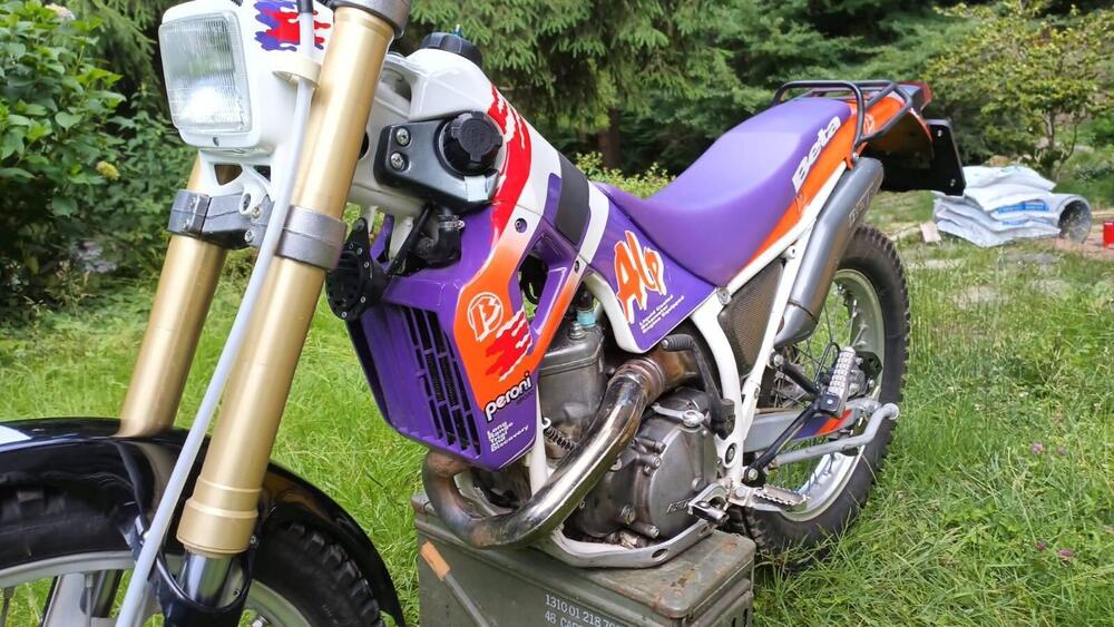 Betamotor Alp 250 (1996) (5)