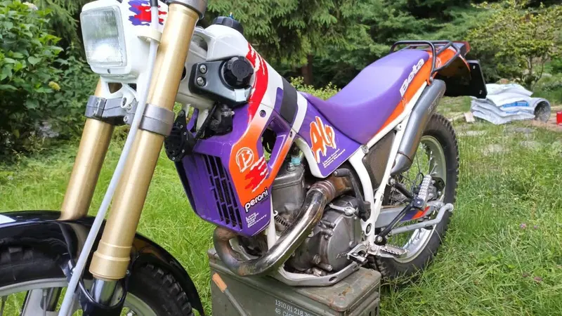 Betamotor Alp 250 (1996) (5)