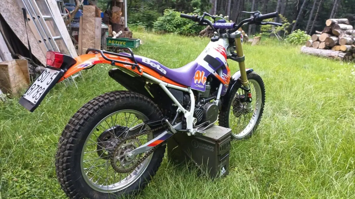 Betamotor Alp 250 (1996) (7)