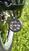 Betamotor alp 250 (11)