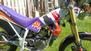Betamotor alp 250 (8)